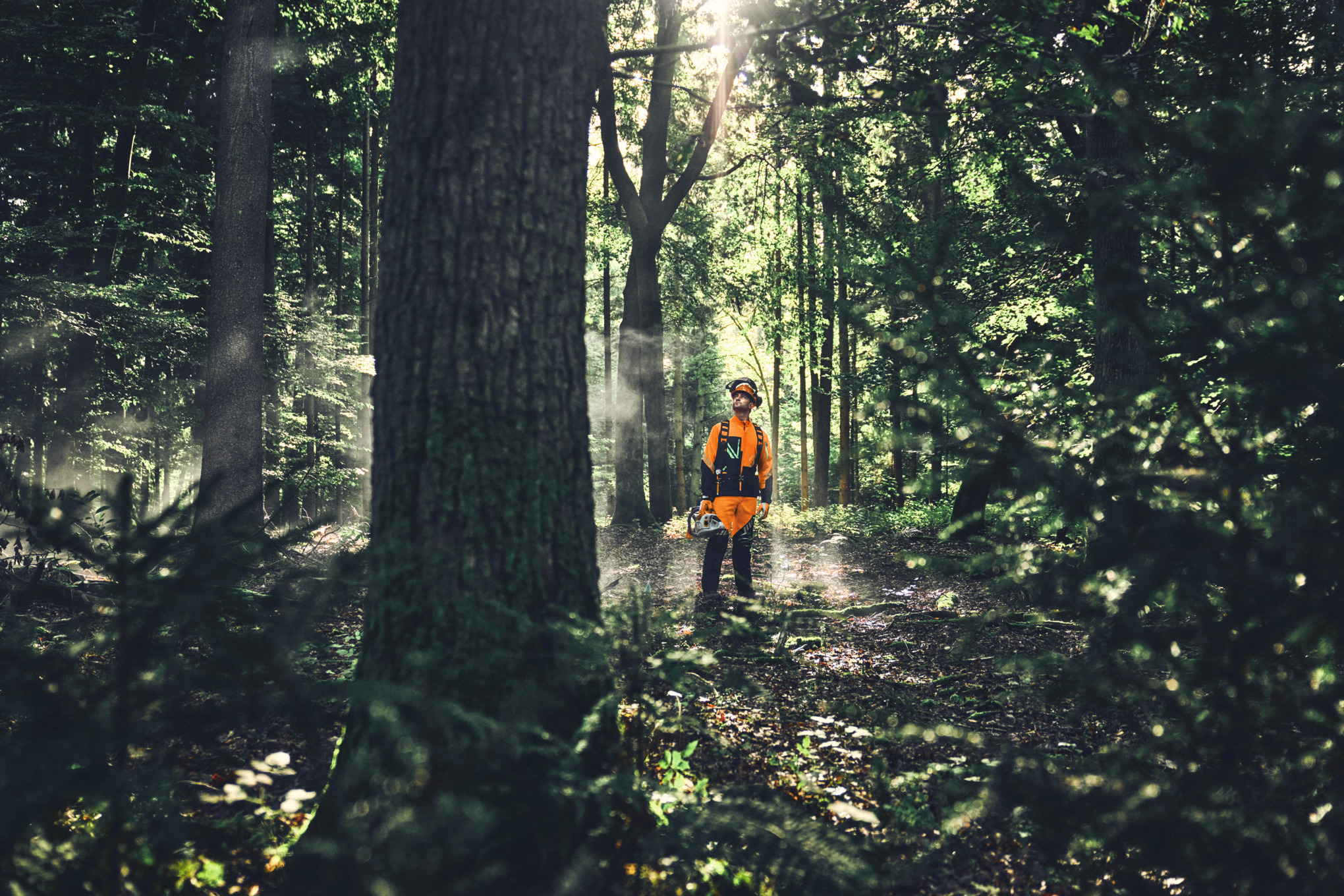 A person working in the forest, wearing a STIHL DuroTEC safety jacket and safety pants.